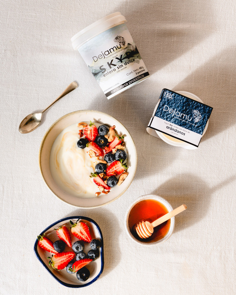 Skyr con dulce - DEJAMU