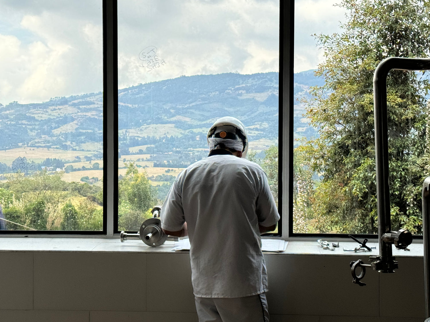 Ofrecemos oportunidades de crecimiento - DEJAMU